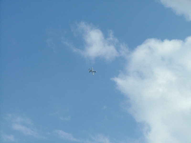 A-10 Warthog